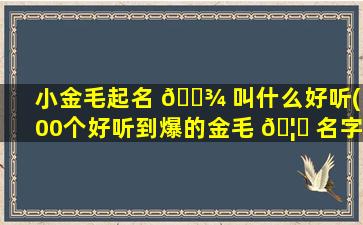 小金毛起名 🌾 叫什么好听(100个好听到爆的金毛 🦟 名字)